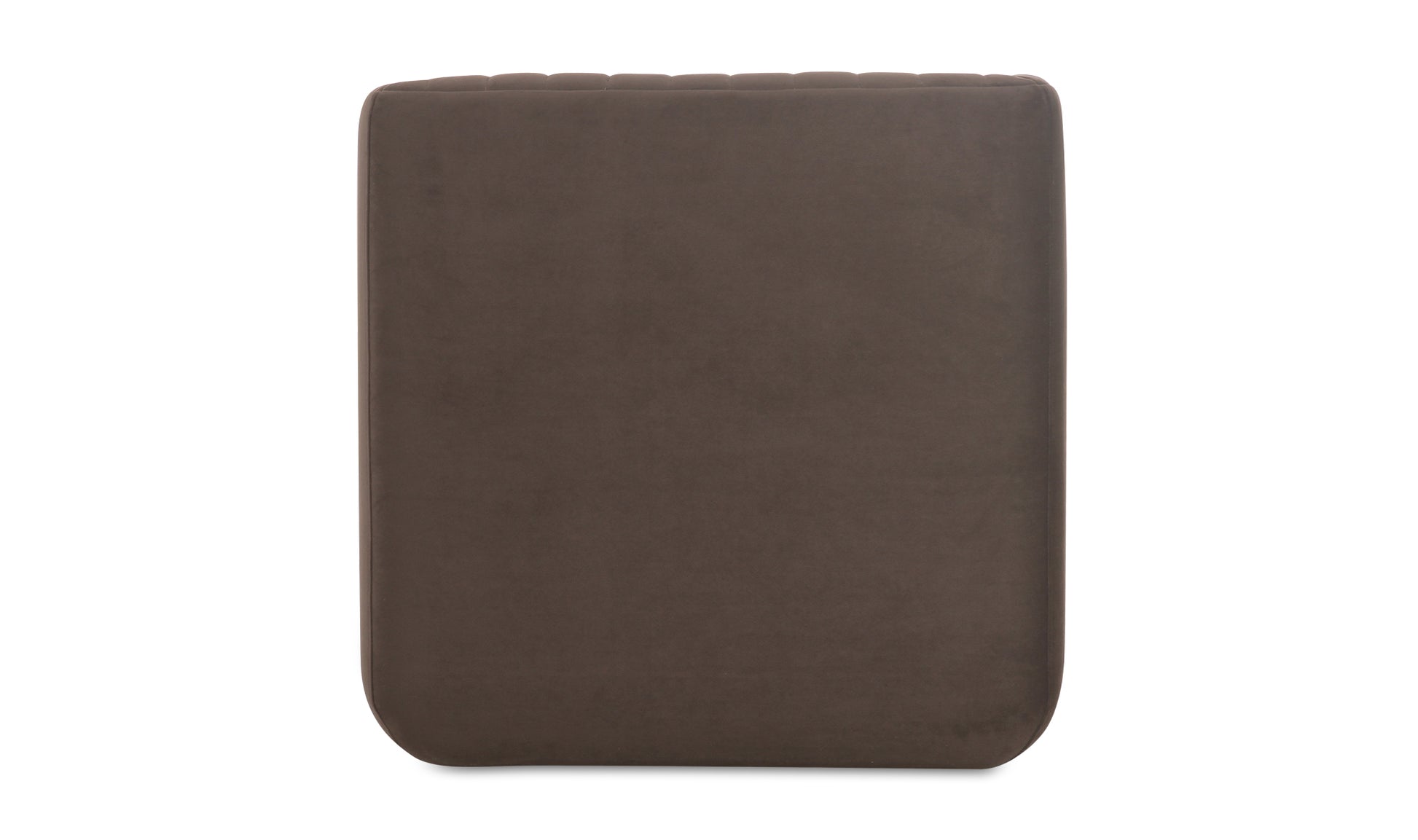 Back view of the Jane brown contemporary dining chair, highlighting the sleek velvet finish and sturdy design.