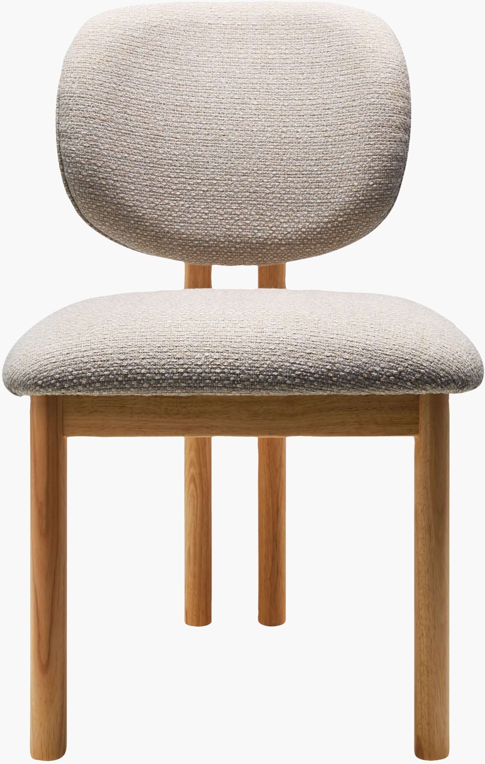 Front view of the Surya Rena Dining Chair, showcasing the clean lines and modern aesthetic.