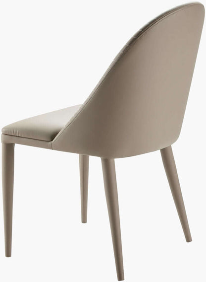 SURYA Lacey Beige Dining Chair 2 Piece