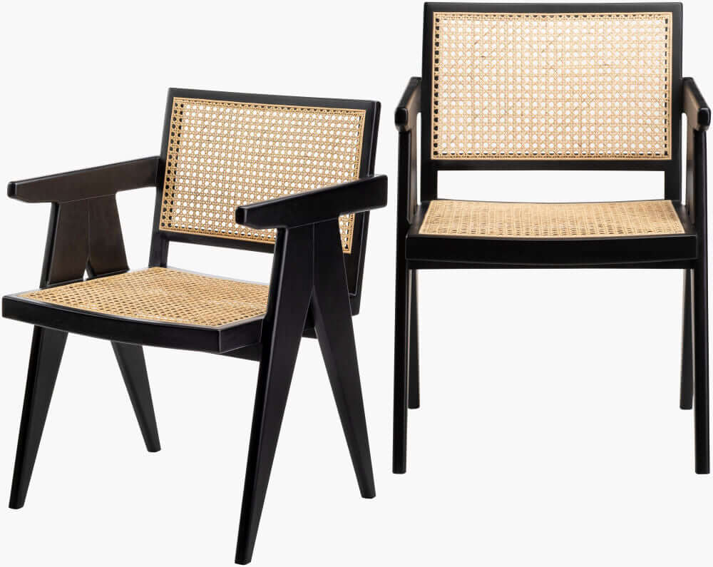 Two Surya Hague Dining Arm Chairs with black rattan design, showcasing elegant craftsmanship and sturdy construction.