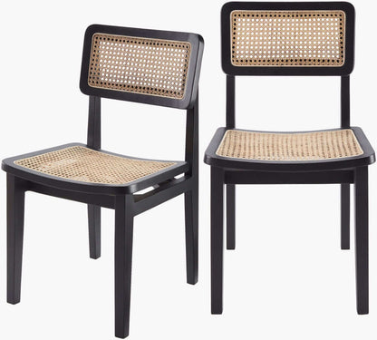 Set of two Surya Arxan dining chairs in black finish with rattan backrest and seat.