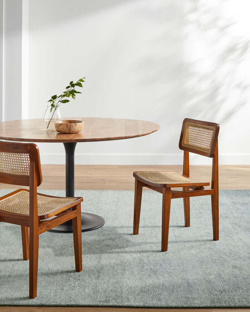 Surya Arxan dining chairs styled in a modern dining room with a round table and minimalist decor.