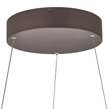 Oval spring pendant light bronze canopy close-up.